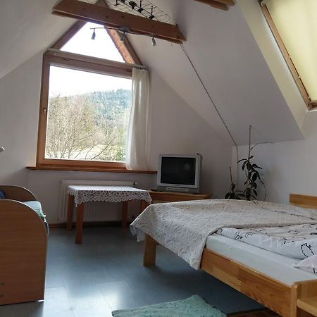 Apartamencik Z Widokiem Na Giewont 扎科帕内 外观 照片