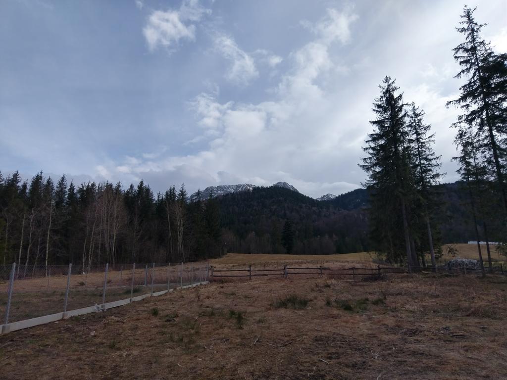 Apartamencik Z Widokiem Na Giewont 扎科帕内 外观 照片