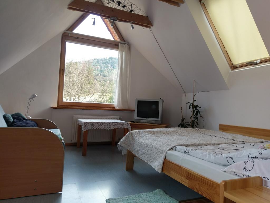 Apartamencik Z Widokiem Na Giewont 扎科帕内 外观 照片