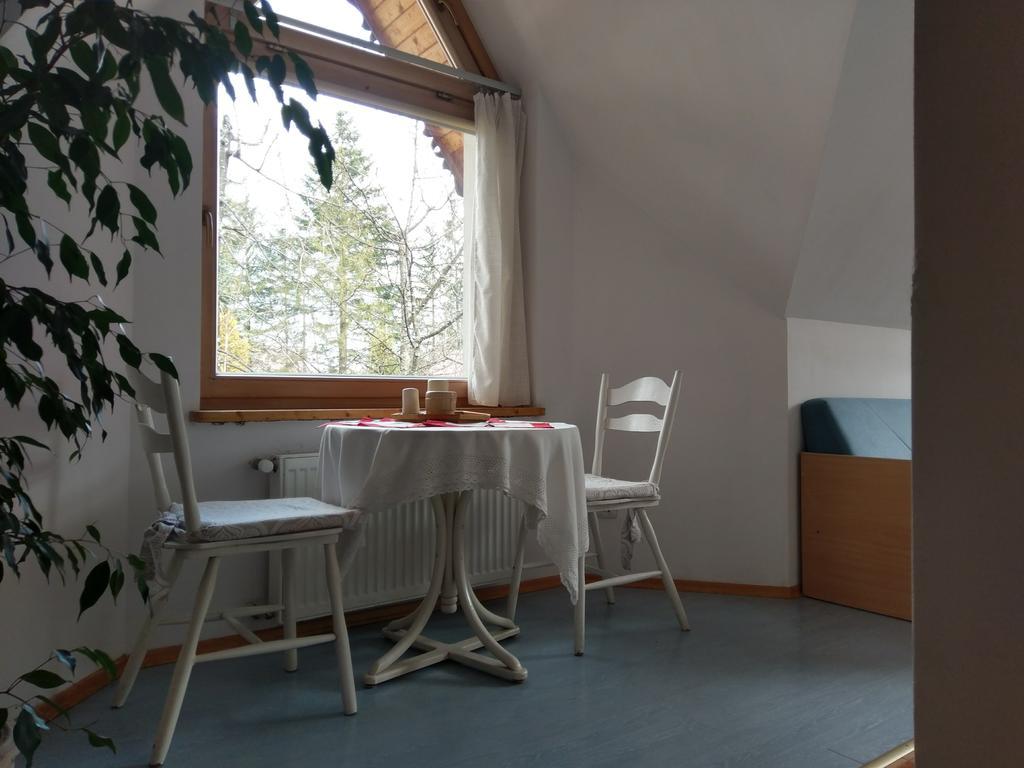 Apartamencik Z Widokiem Na Giewont 扎科帕内 外观 照片