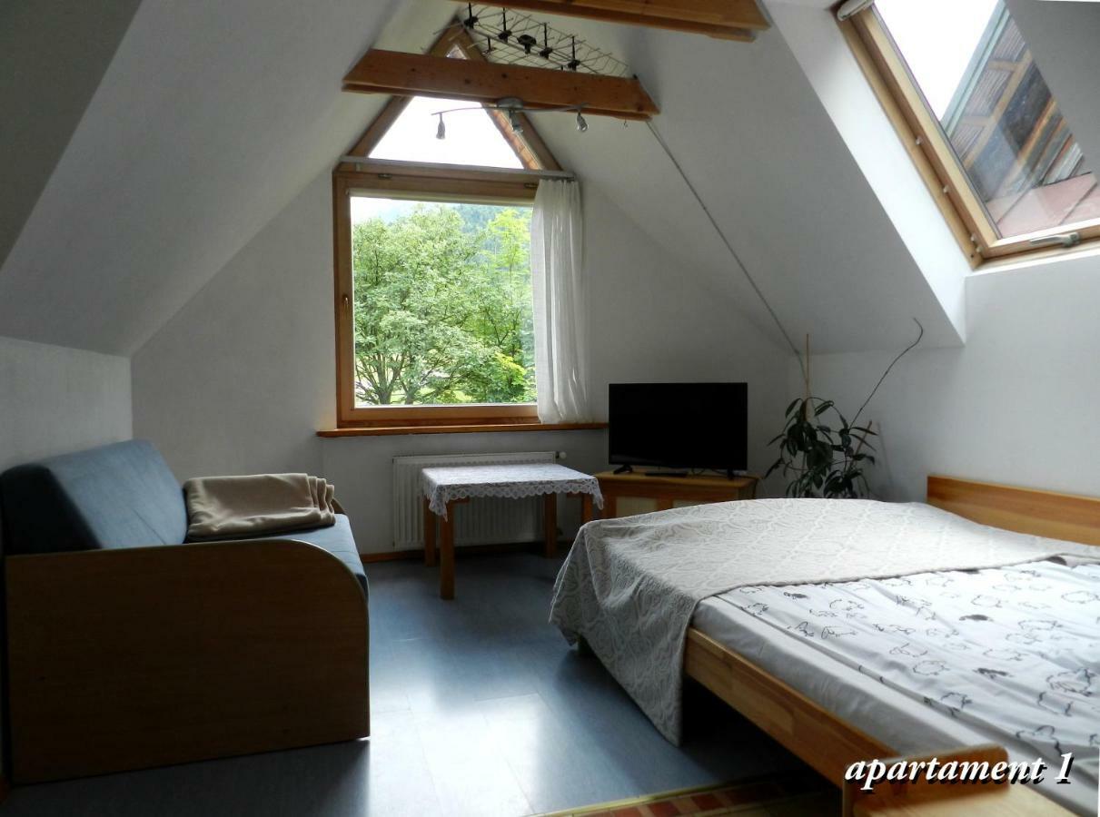 Apartamencik Z Widokiem Na Giewont 扎科帕内 外观 照片