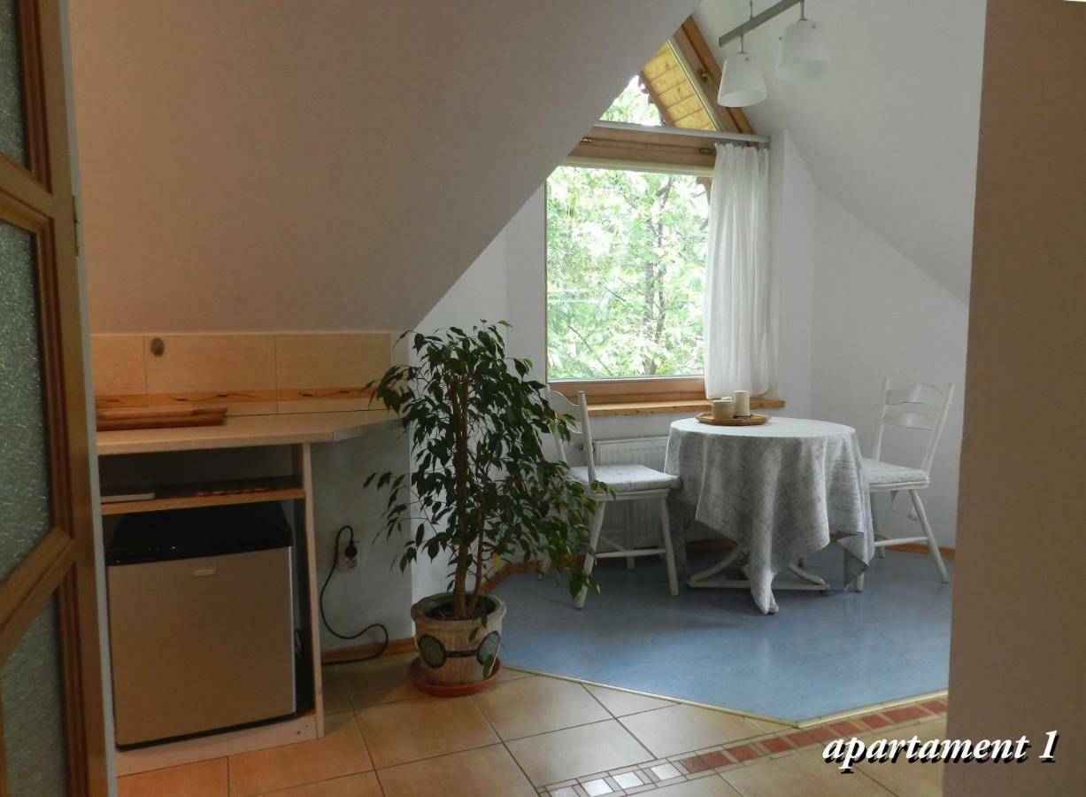 Apartamencik Z Widokiem Na Giewont 扎科帕内 外观 照片