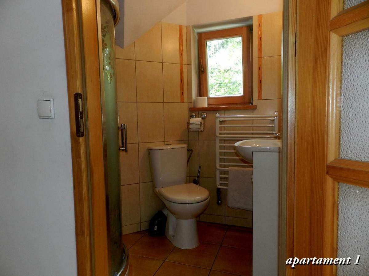 Apartamencik Z Widokiem Na Giewont 扎科帕内 外观 照片